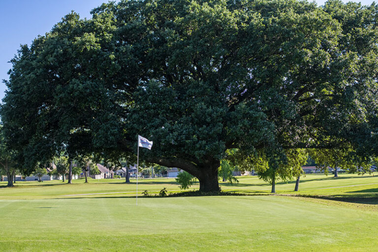 sunkist-golf-in-biloxi-ms-4